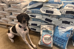 Watertreatproducts